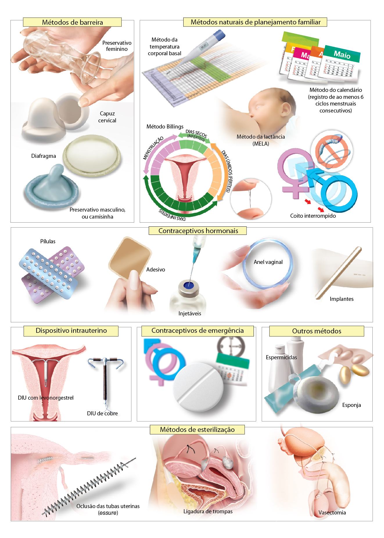 Revista Farmacêutica Kairos Localizador De Preços De Medicamentos 3817